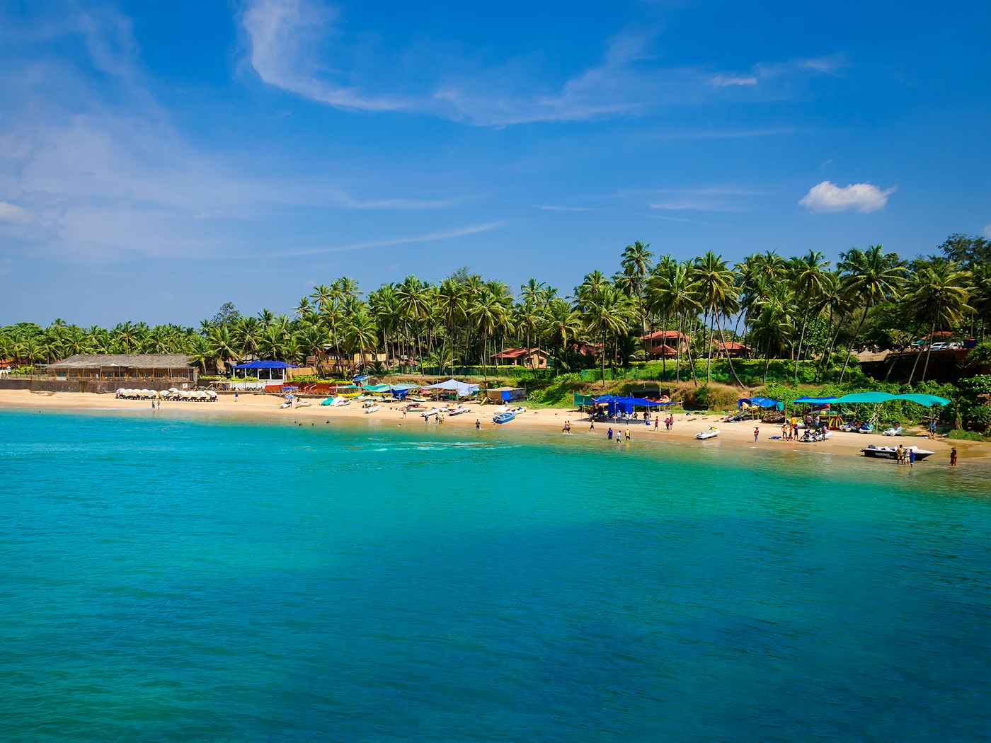 Palm-lined beach in Goa